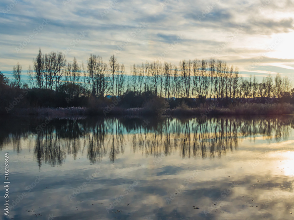 Water reflecting cloudy sky and leafless trees