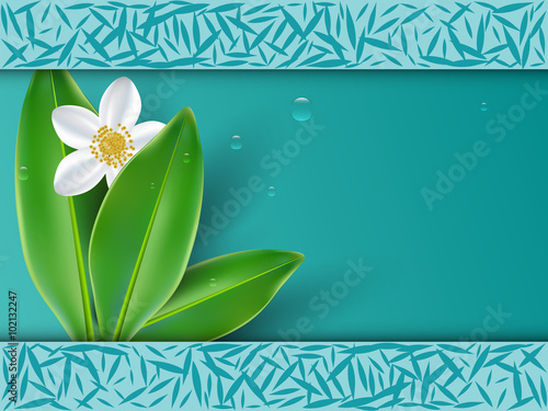 Healthy lifestyle with jasmine flowers