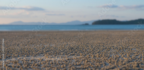 Low tide on the beach