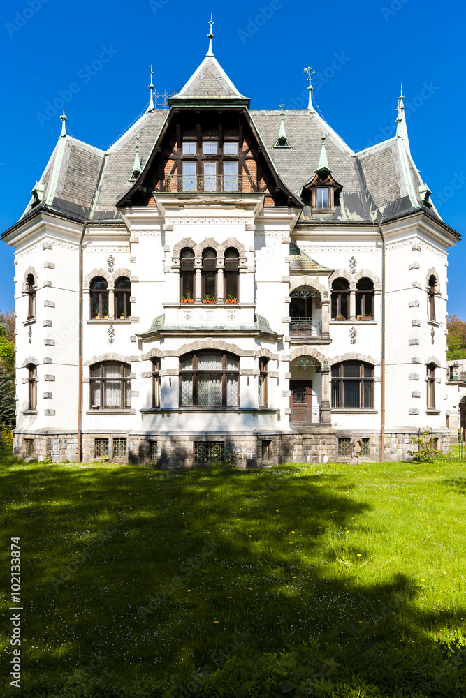 villa of Riedl, Desna, Czech Republic
