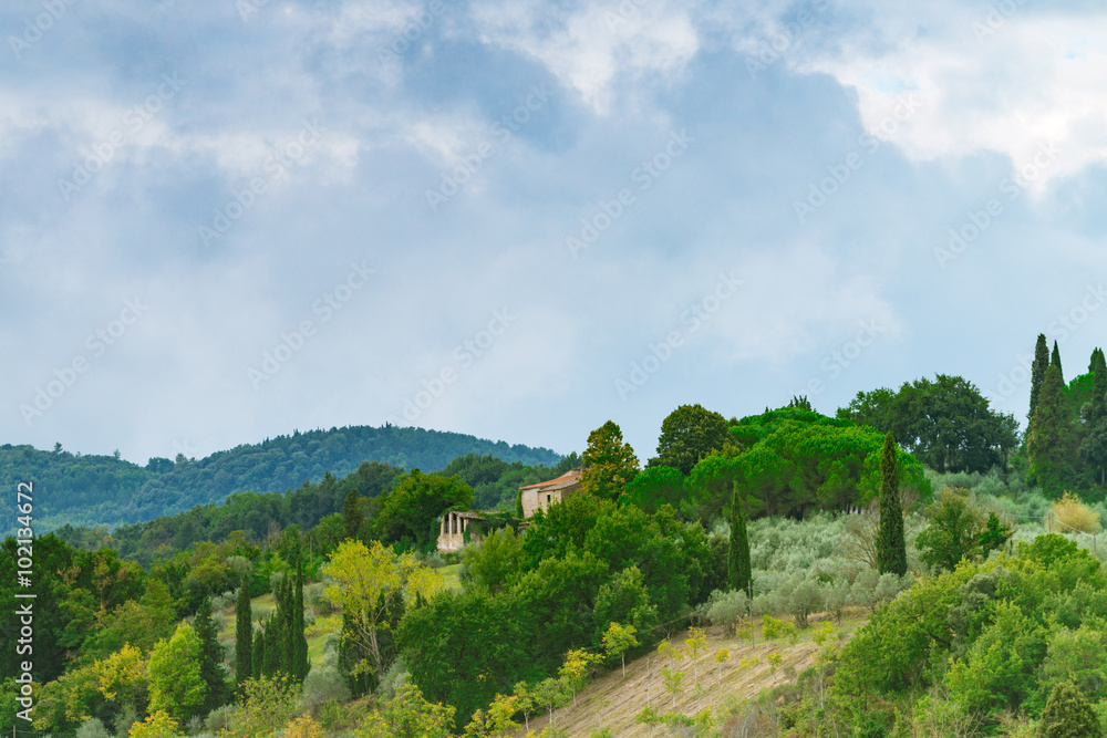 Fields in Tuscany