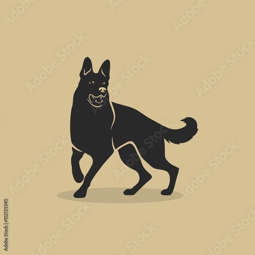 German shepherd dog