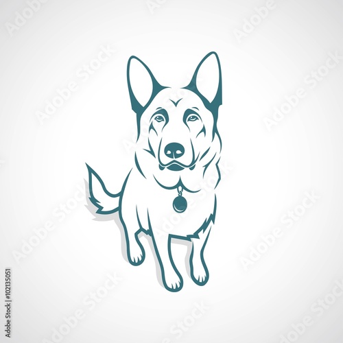 German Shepherd dog