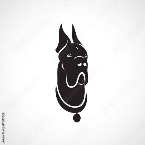 Great Dane