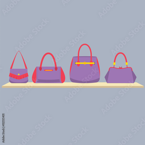 Women Handbags Display On Shelf Vector Illustration.