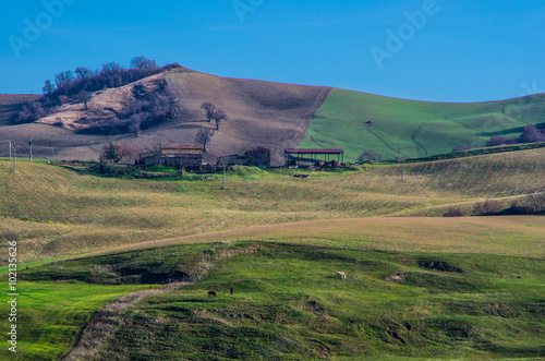 Colline