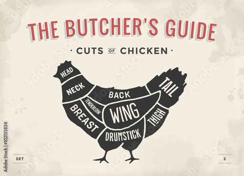 Cut of meat set. Poster Butcher diagram and scheme - Chicken. Vintage typographic hand-drawn. Vector illustration.