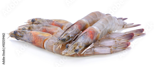 Fresh shrimp on a white background