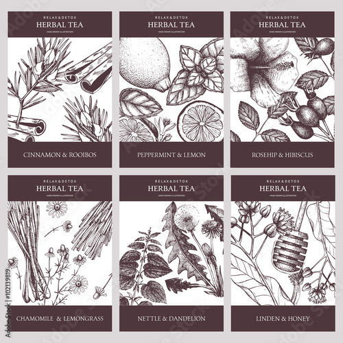 Botanical collection of decorative designs with hand drawn herbal tea ingredients. Vector set of vintage templates with herbs and spice sketch 