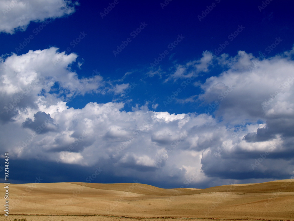 cielos sobre campo de trigo maduro cielos sobre campo de trigo maduro