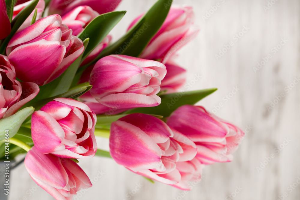 Obraz premium Tulips on the grey background.