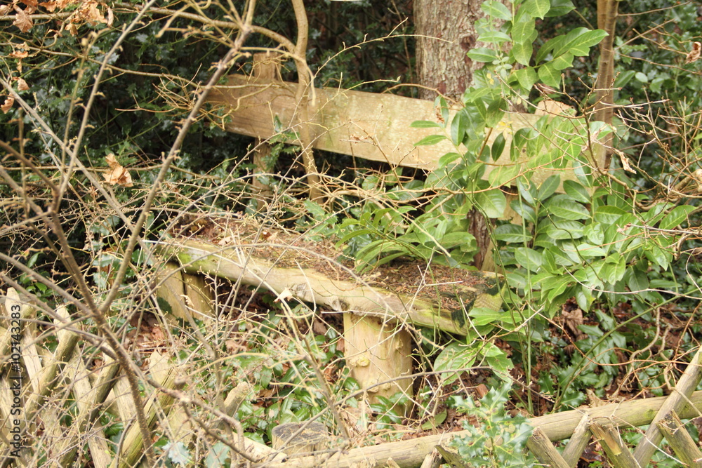 Obraz premium zugewucherte Bank