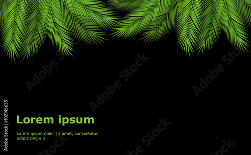 palm branch template
