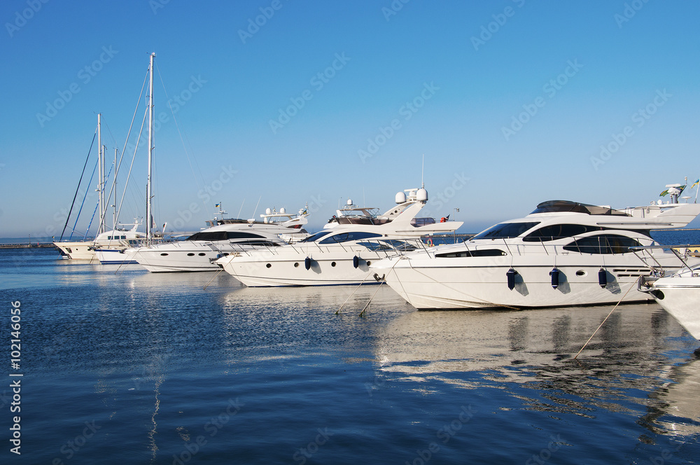 Fototapeta premium White yachts in the port