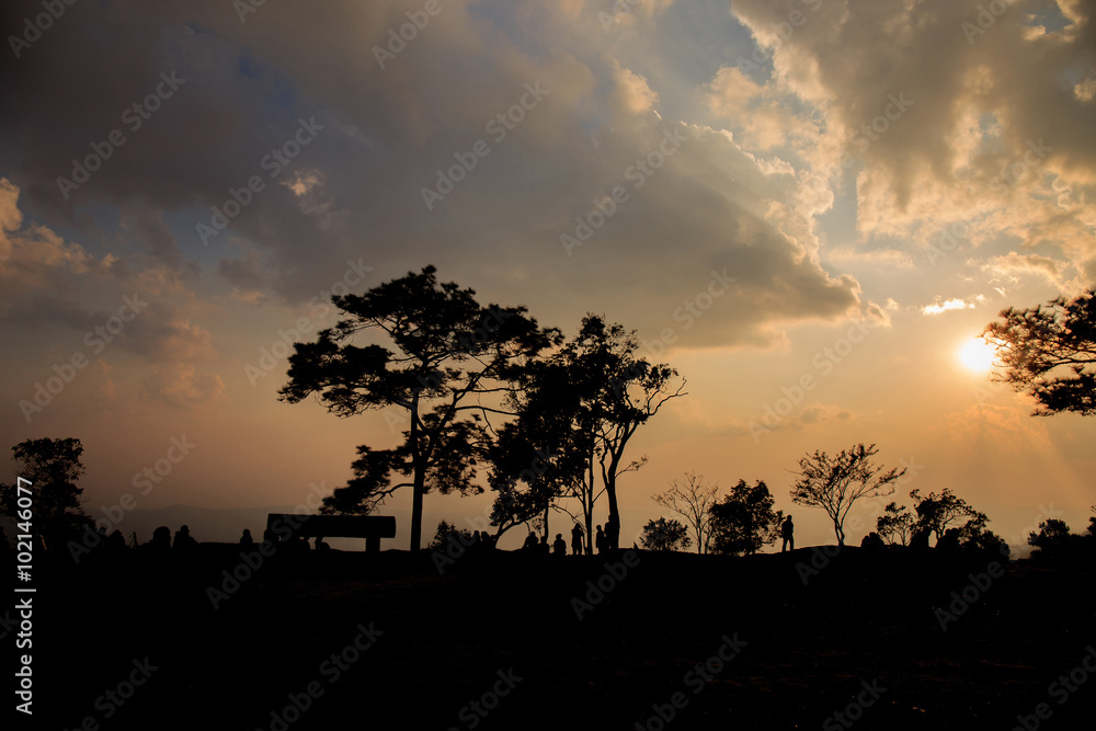 Sunset and the silhouette of the trees and people.