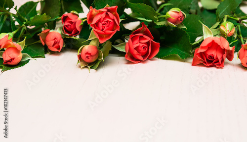 Red roses on a light wooden background. Women' s day, Valentines