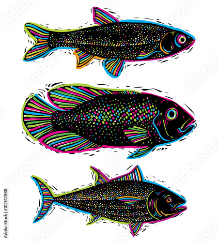 Set of vector drawn fishes,...