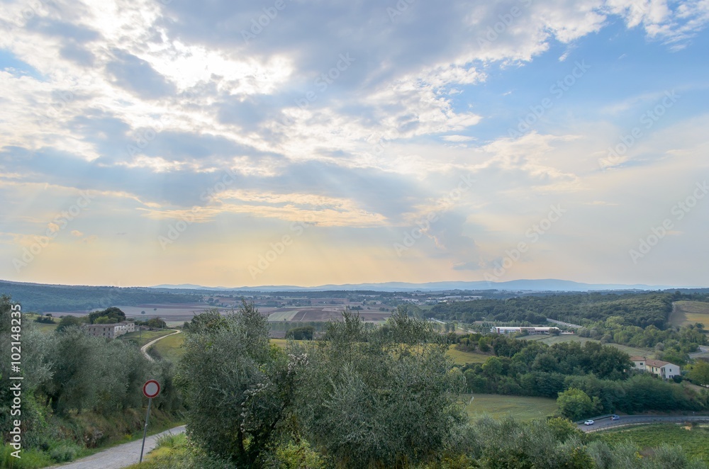 Red sunset in a olive field landscape in Tuscany Red sunset in a olive field landscape in Tuscany