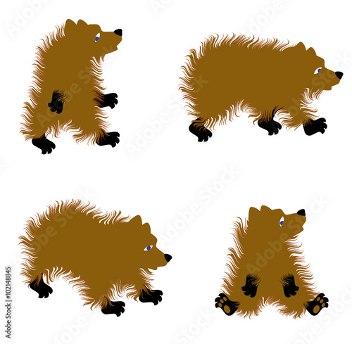 Set of different bears. Vector illustration.