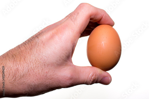 hand holds a chicken egg