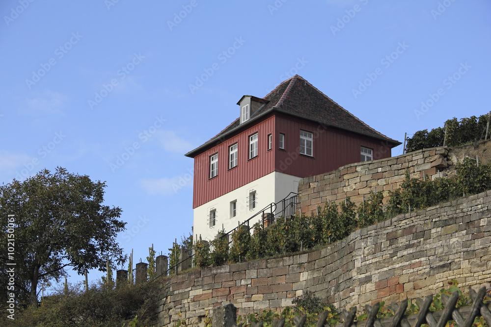 Weinberg und Landhaus am Blütengrund in Großjena