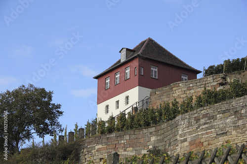 Weinberg und Landhaus am Blütengrund in Großjena