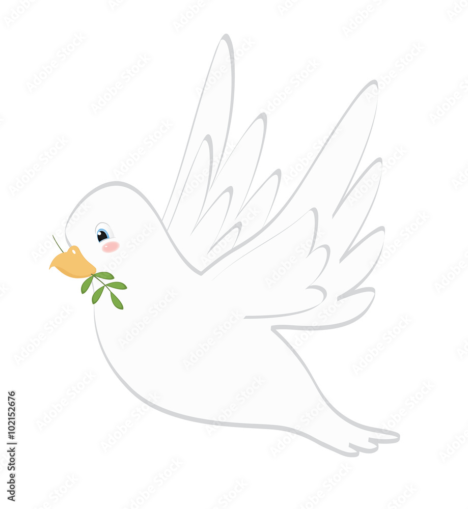 Obraz premium colomba