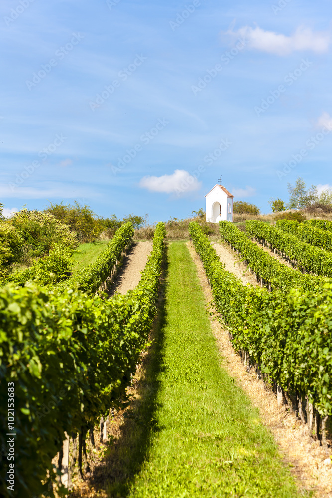 wayside near Hnanice with vineyard, Southern Moravia, Czech Repu