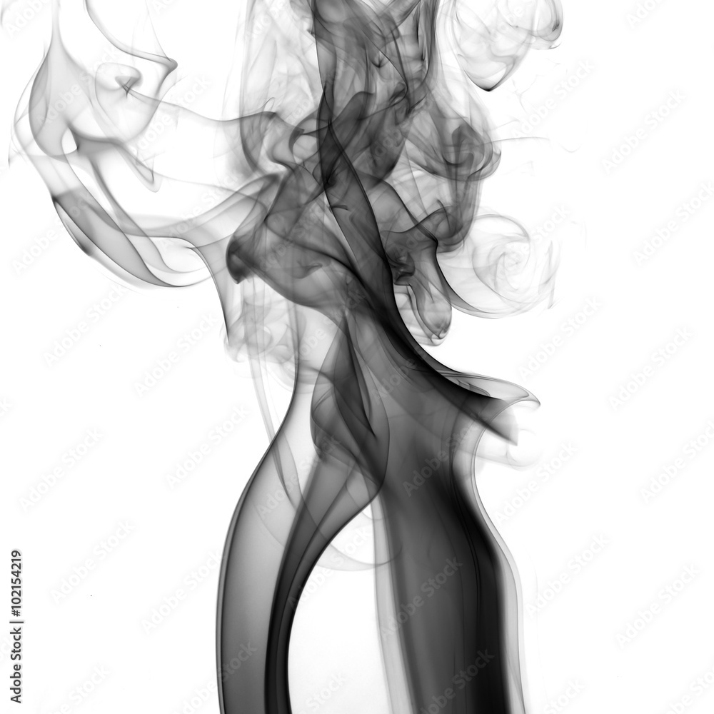 Fototapeta premium abstract background smoke curves and wave