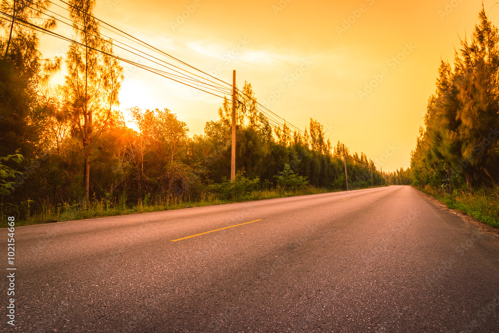 Obraz premium The road between Pine trees at sunset. Selective focus.