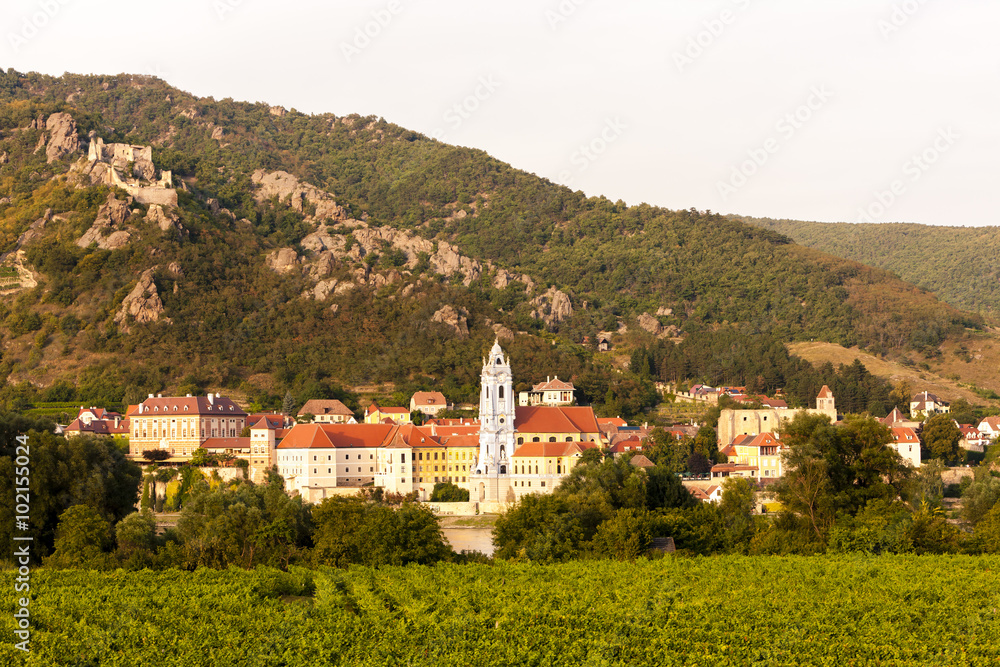 Fototapeta premium Durnstein and vineyard in Wachau Region, Lower Austria, Austria