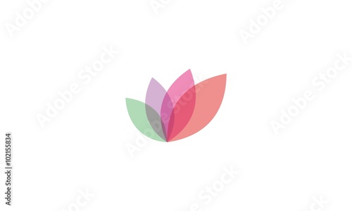  leaf colorful beauty logo