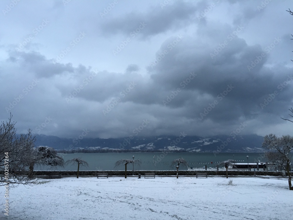 Lindau obersee view in winter with trees and park coverd with snow