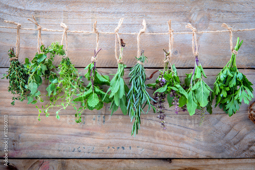Assorted hanging herbs ,parsley ,oregano,mint,sage,rosemary,swee