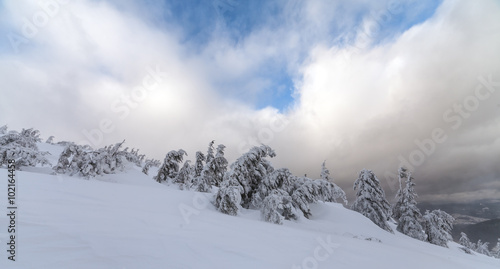 Bad weather in the mountains. Winter landscape. Cloudy evening with storm clouds. Carpathians, Ukraine, Europe