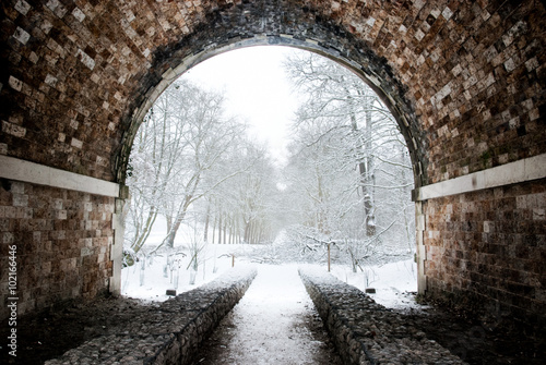 Tunnel to a magical winter forest