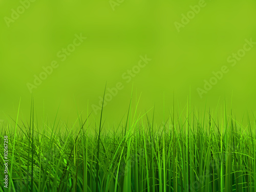 Conceptual green 3d grass field or lawn on green background