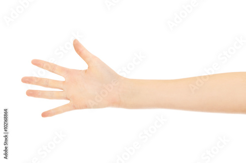 Woman palm with five fingers