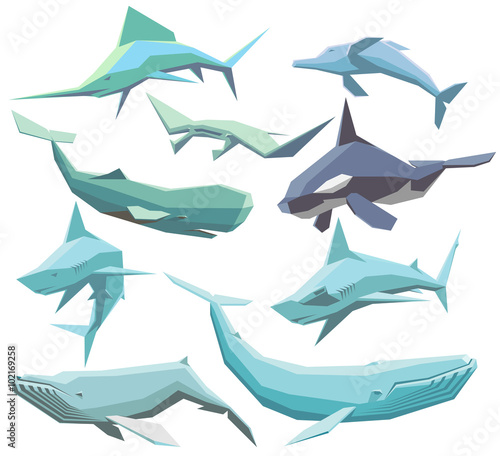 Sea animals collection