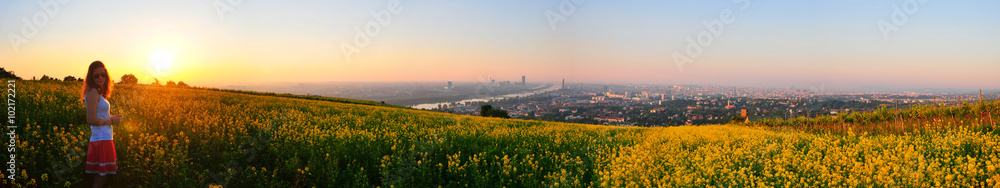 Sonnenaufgang in den Wiener Weinbergen Sonnenaufgang in den Wiener Weinbergen