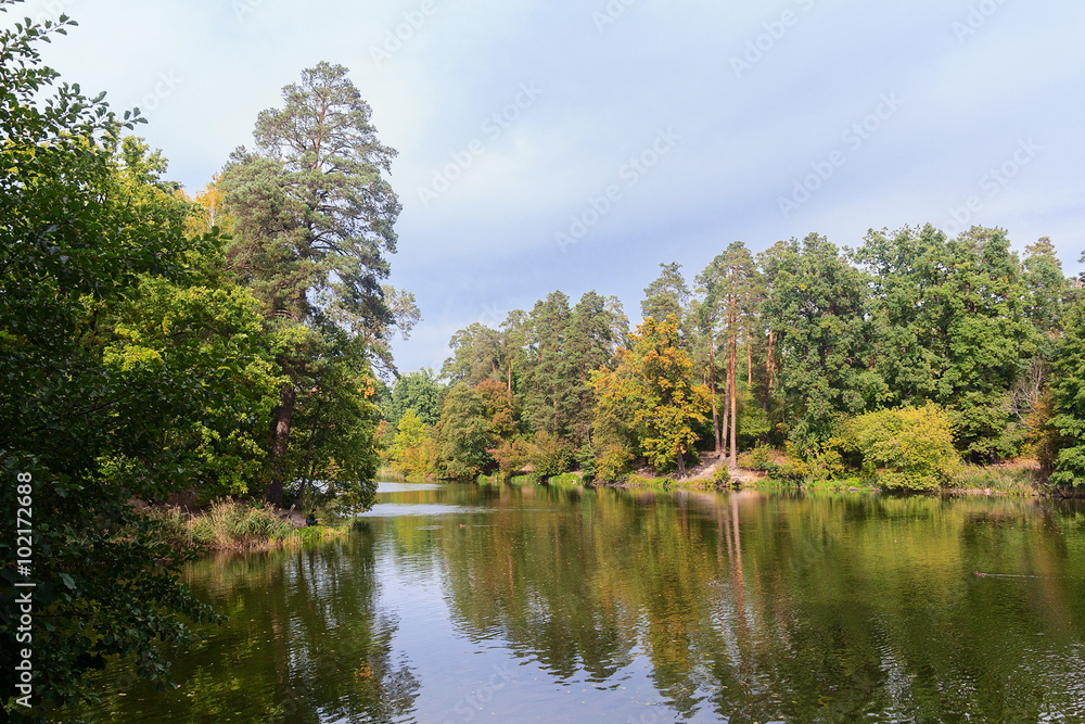 Pond and trees in the park. Nature