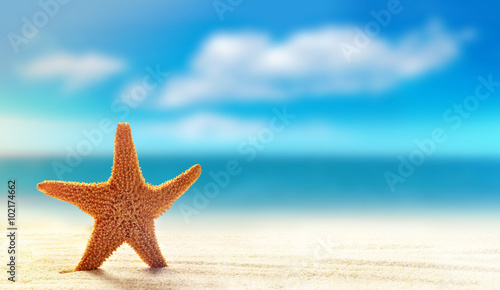 Summer beach. Starfish  on a sandy beach.