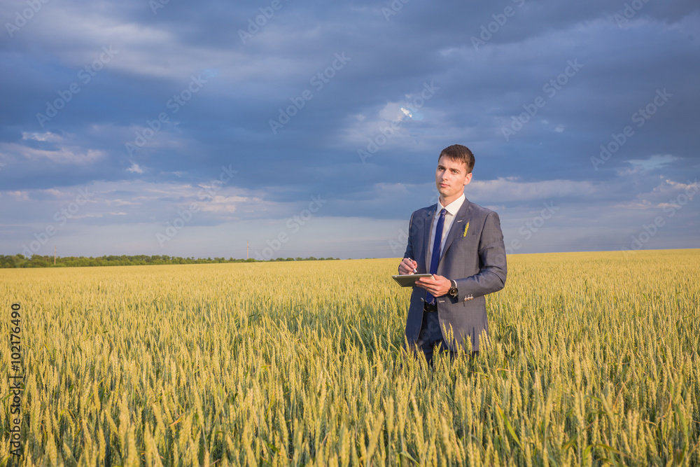 Businessman on a wheat field Businessman on a wheat field