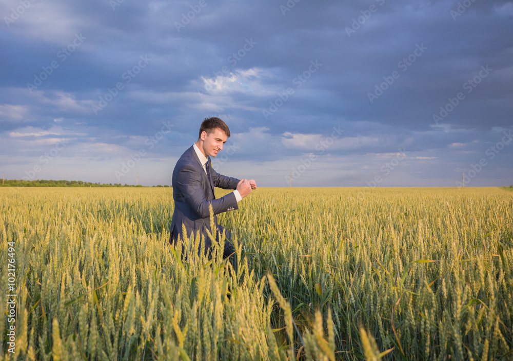 Happy businessman standing on the field Happy businessman standing on the field