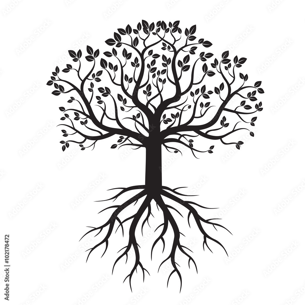 Fototapeta premium Black Tree and Roots. Vector Illustration.