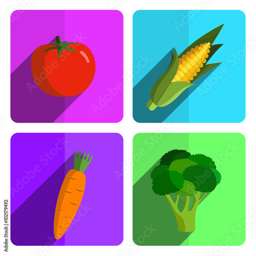 Colorful Vegetable Icon Set on Bright Background  © marnikus
