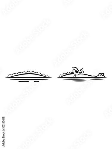 Konstfotografi Crocodile lauren water witty