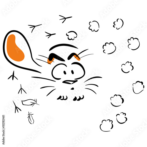 Cat chased a bird