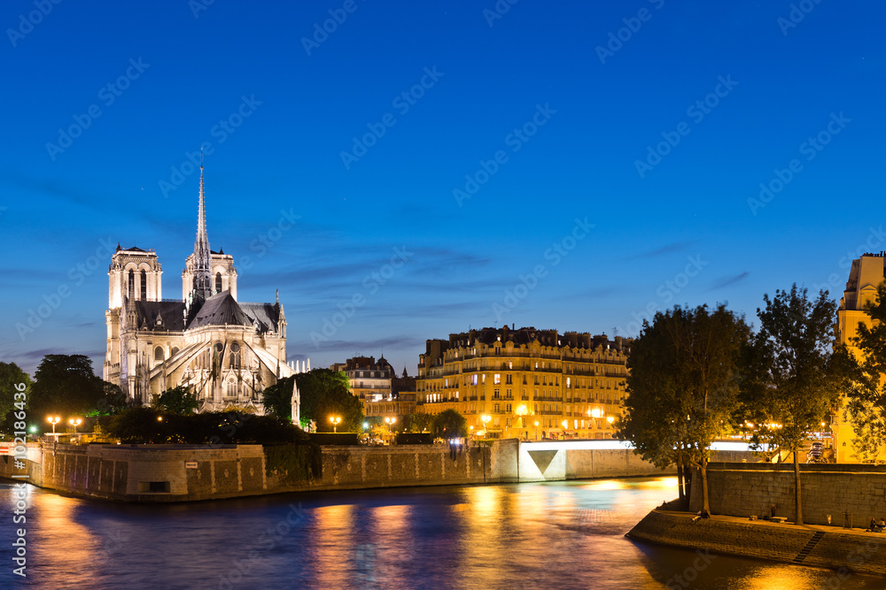 Panorama of the island Cite with cathedral Notre Dame de Paris i