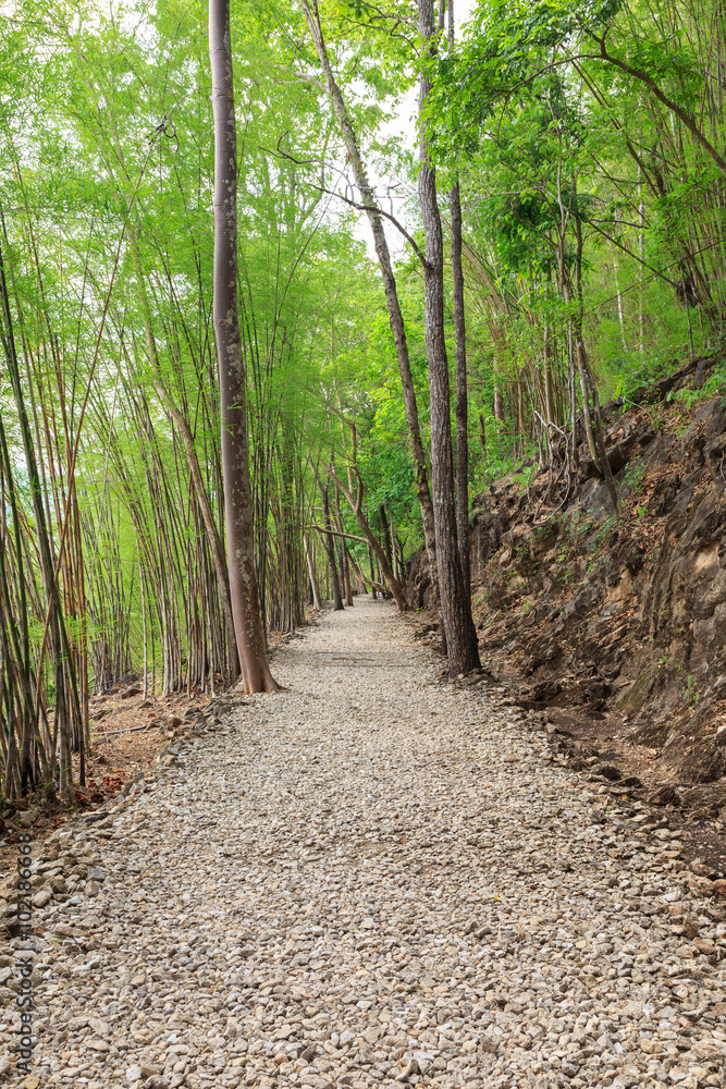 Trail to Hellfire pass, World War 2 memorial,  Kanchanaburi, Tha